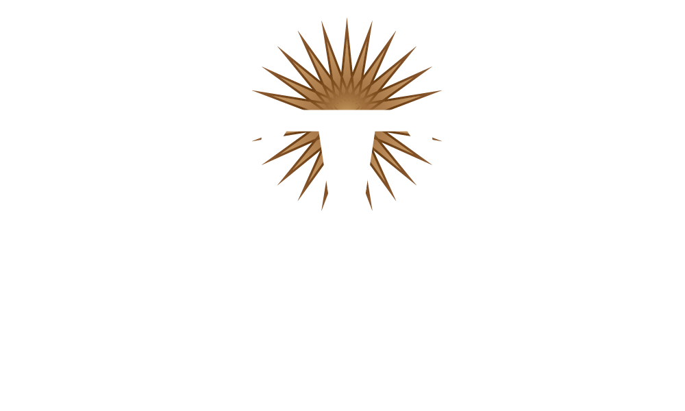 Treasure Chocolate Logo